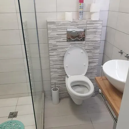 Alfastudio 브루일서비니아