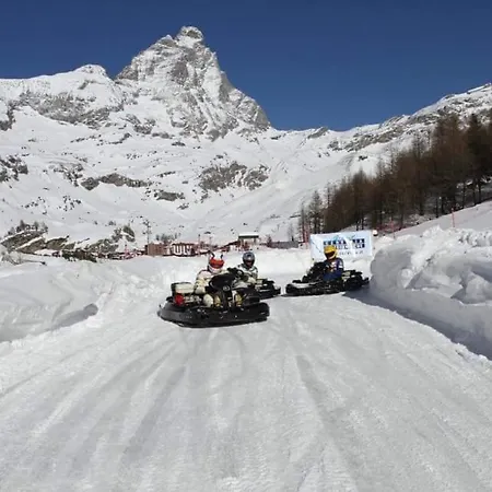 Alfastudio * 브루일서비니아