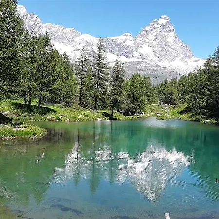 Alfastudio 아파트